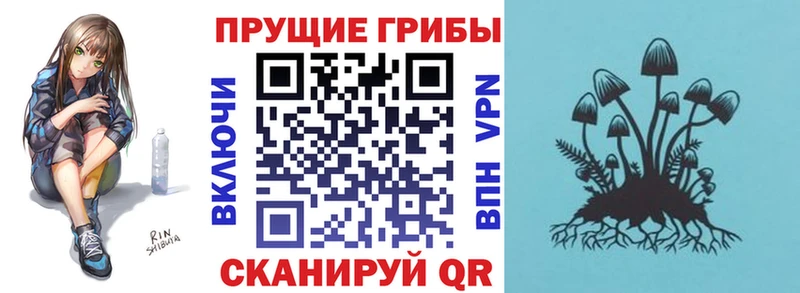 Галлюциногенные грибы мицелий кракен маркетплейс Кинель